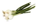 Spring Onions Spring Onions