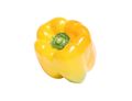 Yellow Pepper Yellow Pepper